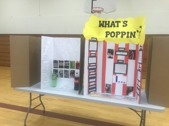 Examples of Elementary Science Fair