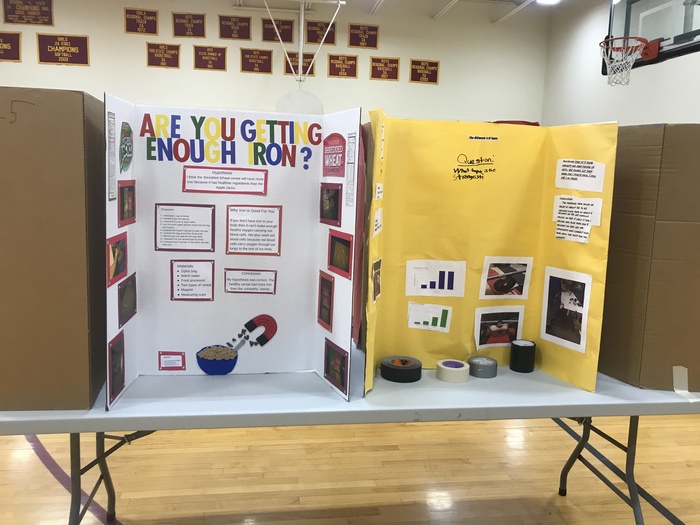 Examples of Elementary Science Fair